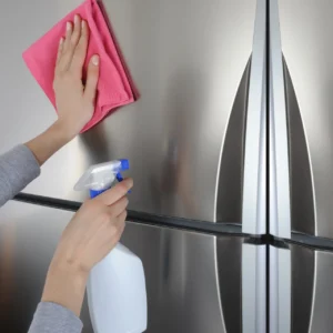 Read more about the article How to Clean Stainless Steel Appliances Without Streaks: A Complete Guide